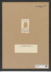 Actinocyclus ? anceps Lend.-Fortm. (de-Toni-Nr.: Genus 195, Species 4795) Zeichnungen Sammlung Grunow Nr. 8442 (NHMW-BOT-W0377894)